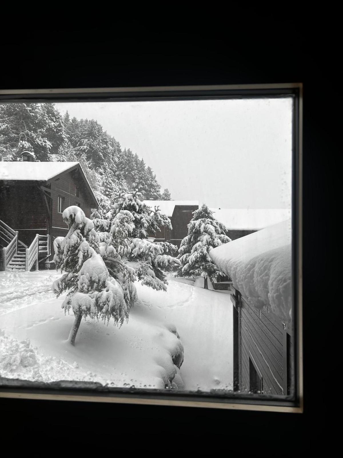 Exclusiva Cabana En Incles - Vistas Al Valle & Pistas De Ski Grandvalira - Free Parking Canillo Buitenkant foto